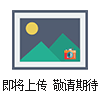 原裝全新FESTO 吸盤VAS-55-1/4-PUR-B